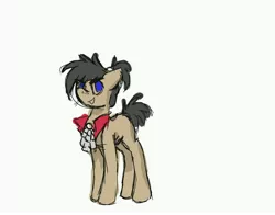 Size: 5100x4000 | Tagged: safe, artist:whiteberry, derpibooru import, earth pony, pony, alexander hamilton, frill, ruffly collar thingy, sketchy, solo