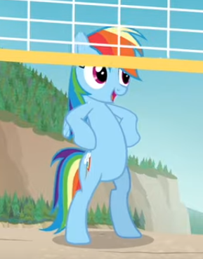 Size: 289x369 | Tagged: safe, derpibooru import, screencap, rainbow dash, pegasus, pony, equestria hills 90210, bipedal, cropped, female, hooves on hips, mare, open mouth, smiling, solo, volleyball net