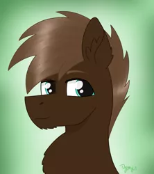 Size: 1029x1158 | Tagged: safe, artist:dyonys, derpibooru import, oc, oc:black wing, pony, abstract background, bust, fluffy