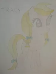 Size: 1944x2592 | Tagged: safe, artist:jerryakiraclassics19, derpibooru import, oc, oc:tracy, unofficial characters only, earth pony, pony, female, traditional art