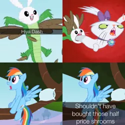 Size: 710x710 | Tagged: safe, derpibooru import, edit, edited screencap, editor:minezombie27, screencap, angel bunny, gummy, opalescence, owlowiscious, rainbow dash, pegasus, pony, may the best pet win, bad trip, day, feather, female, flying, funny, mare, meme, nightmare fuel, pillow, sleeping, tree, tree branch