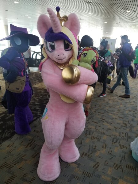 Size: 1536x2048 | Tagged: bronycon, bronycon 2019, derpibooru import, fursuit, human, irl, irl human, mare do well, photo, photographer:weedhorselmao, plushie, princess cadance, safe, tree hugger