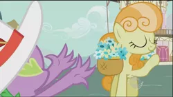 Size: 1920x1080 | Tagged: safe, derpibooru import, screencap, junebug, spike, dragon, earth pony, pony, secret of my excess, basket of flowers, eyes closed, female, hat, hub logo, mare, ponyville town hall, raised hoof