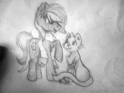 Size: 2048x1536 | Tagged: dead source, safe, artist:tamashihiguchi, derpibooru import, oc, oc:beauvoir ferril, oc:vermont black, earth pony, ferret, pony, clothes, fursona, looking at each other, male, markings, monochrome, phi, scarf, stallion