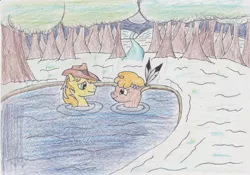 Size: 3300x2313 | Tagged: safe, artist:darkknightwolf2011, derpibooru import, braeburn, little strongheart, pony, braeheart, female, forest, hot springs, male, shipping, straight, traditional art, water