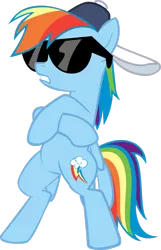Size: 900x1396 | Tagged: artist needed, safe, derpibooru import, rainbow dash, pegasus, pony, may the best pet win, backwards ballcap, baseball cap, bipedal, cap, crossed arms, female, hat, mare, radical, simple background, solo, sunglasses, swag, transparent background, vector