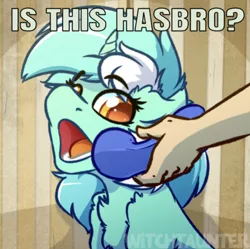 Size: 640x638 | Tagged: safe, artist:witchtaunter, derpibooru import, edit, editor:undeadponysoldier, lyra heartstrings, human, pony, unicorn, caption, chest fluff, cute, female, hasbro, image macro, lyrabetes, mare, meme, open mouth, phine, ponified animal photo, text, watermark, yes this is dog