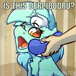 Size: 638x637 | Tagged: safe, artist:witchtaunter, derpibooru import, edit, editor:undeadponysoldier, lyra heartstrings, human, pony, unicorn, derpibooru, chest fluff, cute, female, lyrabetes, mare, meta, open mouth, phine, ponified animal photo, text, watermark, yes this is dog