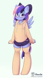 Size: 1066x1915 | Tagged: safe, artist:apony, derpibooru import, oc, oc:wind of the skies, unofficial characters only, semi-anthro, bipedal, bow, clothes, hoodie, shorts, socks, solo