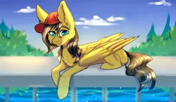 Size: 3512x2032 | Tagged: safe, artist:lama-fyrsenya9, derpibooru import, oc, oc:small block, unofficial characters only, pegasus, pony, blue eyes, bridge, cute, hat, looking at you, male, stallion, water