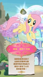 Size: 750x1334 | Tagged: safe, derpibooru import, angel bunny, fluttershy, pegasus, pony, china, chinese text, dragon boat festival, duo, female, mare, rice dumplings