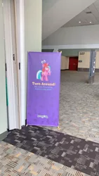 Size: 1080x1920 | Tagged: bronycon, bronycon 2019, derpibooru import, end of bronycon, irl, oc, oc:mane event, photo, sad, safe, text, unofficial characters only