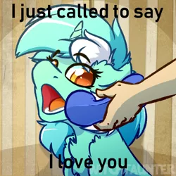 Size: 1000x1000 | Tagged: safe, artist:witchtaunter, derpibooru import, edit, editor:didgereethebrony, lyra heartstrings, pony, unicorn, behaving like a dog, caption, i just called to say i love you, image macro, meme, ponified animal photo, solo, song reference, stevie wonder, text, yes this is dog