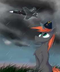 Size: 1960x2320 | Tagged: safe, artist:observerdoz, derpibooru import, oc, pony, unicorn, berkut, grass, rain, su-47