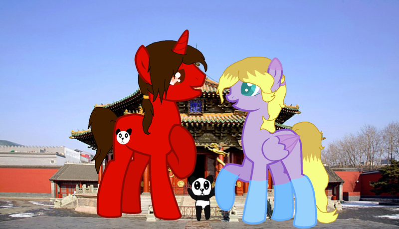 Size: 2456x1408 | Tagged: safe, artist:flora-flower1, derpibooru import, oc, pony, china, irl, photo