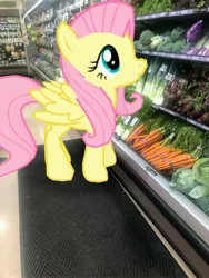 Size: 3024x4032 | Tagged: safe, derpibooru import, photographer:undeadponysoldier, fluttershy, pegasus, pony, augmented reality, broccoli, cabbage, carrot, celery, female, food, gameloft, grocery store, herbivore, lowes foods, mare, vegetables