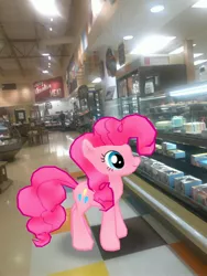 Size: 3024x4032 | Tagged: safe, derpibooru import, photographer:undeadponysoldier, pinkie pie, earth pony, pony, augmented reality, cake, female, food, gameloft, grocery store, irl, lowes foods, mare, photo, ponies in real life