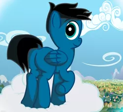 Size: 3600x3300 | Tagged: safe, artist:agkandphotomaker2000, derpibooru import, oc, oc:pony video maker, pegasus, pony, butt, cloud, looking at you, on a cloud, plot, ponyville, standing on cloud, view from below