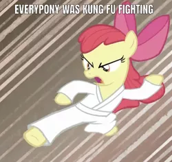 Size: 641x605 | Tagged: apple bloom, call of the cutie, caption, carl douglas, clothes, derpibooru import, edit, edited screencap, editor:undeadponysoldier, everypony, gi, image macro, kicking, kung fu, kung fu fighting, parody, safe, screencap, song reference, text, white belt