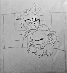Size: 2420x2658 | Tagged: safe, artist:ejlightning007arts, derpibooru import, gallus, silverstream, classical hippogriff, gryphon, hippogriff, bed, cute, diastreamies, female, gallabetes, gallstream, hand drawing, male, messy mane, shipping, sleeping, snuggling, straight, tired, tired eyes, traditional art