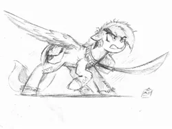 Size: 2191x1652 | Tagged: safe, artist:the-minuscule-task, derpibooru import, oc, oc:acela, unofficial characters only, pegasus, pony, angry, pegasus oc, sketch, spread wings, wings
