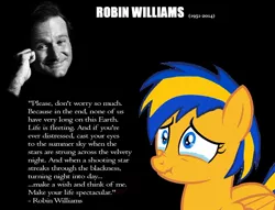 Size: 1024x781 | Tagged: safe, artist:mlpfan3991, derpibooru import, oc, oc:flare spark, pegasus, pony, crying, photo, quote, robin williams, tears of pain, text