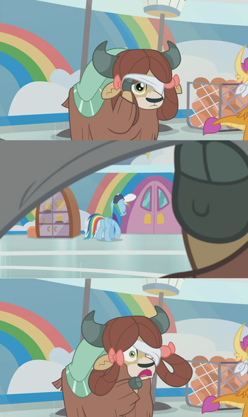 Size: 1356x2284 | Tagged: 2 4 6 greaaat, ball, blindfolded, bow, bucket, cloven hooves, derpibooru import, door, female, gym, hair bow, hat, monkey swings, one eye covered, peeking, peeping, rainbow, rainbow dash, safe, screencap, smolder, surprised, yak, yona