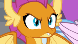 Size: 806x454 | Tagged: angry, animated, cyan eyes, derpibooru import, dragon, dragoness, edit, edited screencap, female, furious, gif, gritted teeth, horns, insulted, nostrils, safe, school raze, screencap, silverstream, slit eyes, smoke, smolder, smolder is not amused, solo focus, teenaged dragon, teenager, unamused