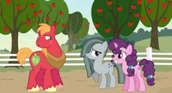 Size: 2016x1097 | Tagged: artist needed, safe, derpibooru import, big macintosh, marble pie, sugar belle, earth pony, pony, unicorn, apple, apple tree, awkward, best friends, bonding, female, food, friendship, friendshipping, husband and wife, looking at each other, male, married couple, shipping, smiling, story included, straight, sugarmac, sweet apple acres, tree, uh oh, worried