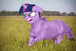 Size: 960x640 | Tagged: safe, derpibooru import, edit, edited screencap, screencap, twilight sparkle, horse, pony, a trivial pursuit, abomination, angry, engrish in the description, faic, god is dead, hoers, op is on drugs, photo, shitposting, wat, what has science done