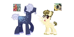 Size: 2000x1000 | Tagged: safe, artist:castorochiaro, derpibooru import, oc, oc:calotype, oc:inky splash, earth pony, pegasus, pony, bandaid, bushy brows, dappled, eyebrows, facial hair, female, goatee, hair over eyes, male, mare, nose bandaid, offspring, parent:big macintosh, parent:daring do, parent:doctor caballeron, parent:marble pie, parents:daballeron, parents:marblemac, simple background, stallion, transparent background, unshorn fetlocks