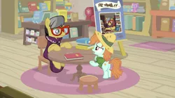 Size: 1920x1080 | Tagged: safe, derpibooru import, screencap, a.k. yearling, peach fuzz, earth pony, pegasus, pony, daring doubt, book, chair, female, filly, glasses, hat, library, pencil, poster, table, toy