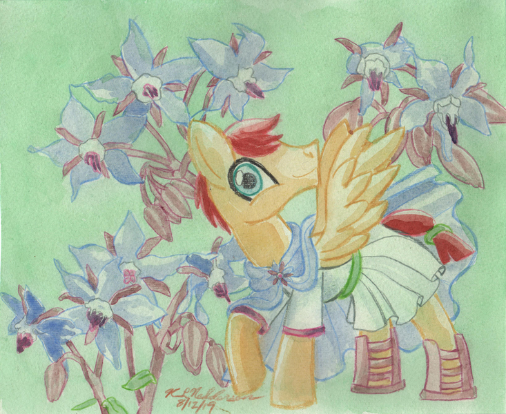 Size: 3282x2685 | Tagged: artist needed, source needed, safe, derpibooru import, flash magnus, pony, borage, clothes, flower, solo, traditional art