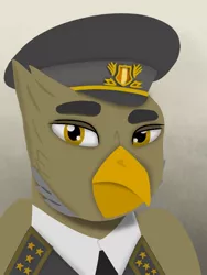 Size: 768x1024 | Tagged: safe, artist:riley vinchers, derpibooru import, oc, gryphon, equestria at war mod, bust, cap, clothes, hat, military uniform, portrait, uniform, wings, yellow eyes