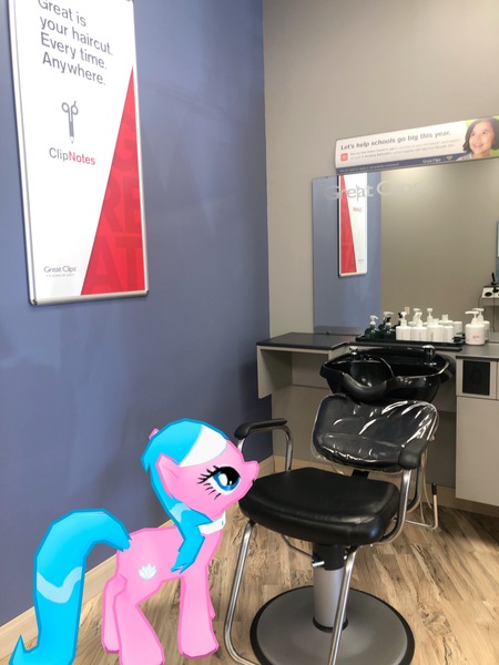 Size: 3024x4032 | Tagged: safe, derpibooru import, photographer:undeadponysoldier, aloe, pony, augmented reality, barbershop, chair, female, gameloft, greatclips, irl, mare, photo, ponies in real life, solo