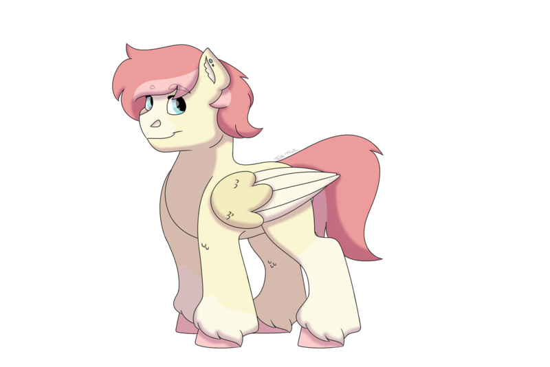 Size: 1280x854 | Tagged: safe, artist:itstechtock, derpibooru import, oc, oc:luminaire, pegasus, pony, magical lesbian spawn, male, offspring, parent:coco pommel, parent:kerfuffle, simple background, solo, stallion, transparent background