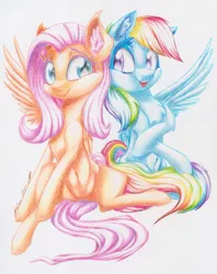 Size: 2362x2980 | Tagged: safe, artist:galinn-arts, derpibooru import, fluttershy, rainbow dash, pegasus, pony, belly button, colorful, duo, ear fluff, female, happy, looking at each other, mare, one wing out, open mouth, pencil drawing, simple background, sitting, smiling, spread legs, spreading, teeth, traditional art, white background, wings