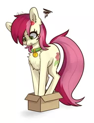 Size: 1050x1377 | Tagged: safe, artist:chibadeer, derpibooru import, roseluck, pony, angry, behaving like a cat, box, chest fluff, collar, cute, ear fluff, fluffy, if i fits i sits, pet tag, pony in a box, pony pet, rosepet