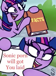 Size: 449x600 | Tagged: suggestive, artist:quarium edits, derpibooru import, twilight sparkle, twilight sparkle (alicorn), alicorn, pony, book, ed edd n eddy, exploitable meme, grammar error, image macro, meme, sonic the hedgehog, sonic the hedgehog (series), twilight's fact book