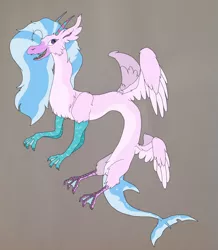 Size: 1844x2112 | Tagged: artist:nightshade2004, derpibooru import, draconequified, draconequus, female, fish tail, four wings, gray background, multiple wings, safe, silverstream, simple background, solo, species swap, wings
