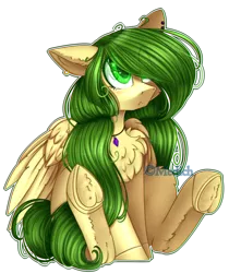 Size: 820x974 | Tagged: safe, artist:mediasmile666, derpibooru import, oc, unofficial characters only, pegasus, pony, blushing, chest fluff, commission, cute, ear piercing, earring, eye clipping through hair, female, floppy ears, frown, hair over one eye, hoof fluff, jewelry, mare, necklace, ocbetes, piercing, simple background, sitting, solo, transparent background, underhoof