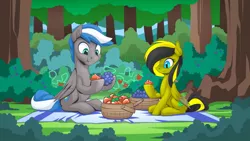 Size: 1192x670 | Tagged: safe, artist:mysticalpha, derpibooru import, oc, oc:cloud zapper, oc:diamond soul, pegasus, pony, basket, blueberry, female, food, forest, male, mare, picnic, picnic basket, picnic blanket, stallion, strawberry