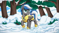 Size: 1192x670 | Tagged: safe, artist:mysticalpha, derpibooru import, oc, oc:cloud zapper, unofficial characters only, pegasus, pony, armor, forest, royal guard, royal guard armor, snow, snowfall, solo