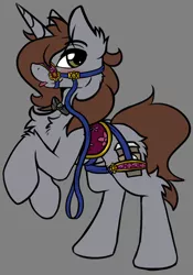 Size: 2872x4096 | Tagged: suggestive, artist:arjinmoon, derpibooru import, oc, oc:arjin, unofficial characters only, pony, unicorn, :p, bondage, bowtie, bridle, chest fluff, explicit source, harness, leash, long mane, looking at you, male, rearing, saddle, solo, solo male, stallion, tack, tongue out