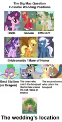 Size: 750x1482 | Tagged: safe, derpibooru import, edit, edited screencap, screencap, applejack, big macintosh, discord, fluttershy, maud pie, mayor mare, mudbriar, night glider, spike, starlight glimmer, sugar belle, draconequus, dragon, earth pony, pegasus, pony, unicorn, the big mac question, apple, apple tree, intertwined trees, marriage, pear tree, text, theory, tree, wedding, winged spike