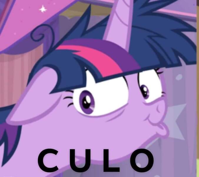 Size: 1080x958 | Tagged: safe, derpibooru import, edit, edited screencap, screencap, twilight sparkle, twilight sparkle (alicorn), alicorn, pony, a trivial pursuit, cropped, culo, faic, floppy ears, italian, messy mane, radio ponysomnio, solo, spanish, twilight snapple, vulgar