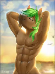 Size: 774x1032 | Tagged: suggestive, artist:scheadar, derpibooru import, oc, oc:jaeger sylva, unofficial characters only, anthro, earth pony, abs, anthro oc, arm behind head, armpits, bare chest, casual nudity, clothes, commission, eyes closed, lens flare, male, nudity, partial nudity, signature, smiling, solo, solo male, stallion, topless