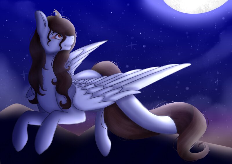 Size: 2048x1448 | Tagged: safe, artist:chaoticchimeraart, derpibooru import, oc, oc:tail, unofficial characters only, pegasus, pony, female, flying, mare, night, no source available, solo
