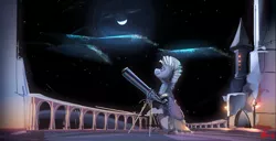 Size: 2622x1339 | Tagged: safe, artist:alumx, derpibooru import, oc, oc:scope, unofficial characters only, pony, canterlot, guard, looking up, male, moon, night, scenery, solo, stallion, stars, telescope
