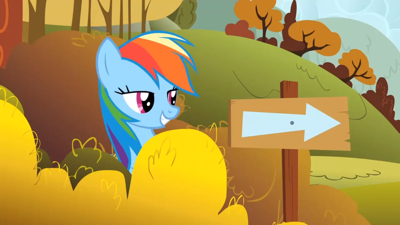 Size: 1920x1080 | Tagged: safe, derpibooru import, screencap, rainbow dash, pony, fall weather friends, bedroom eyes, sign, solo